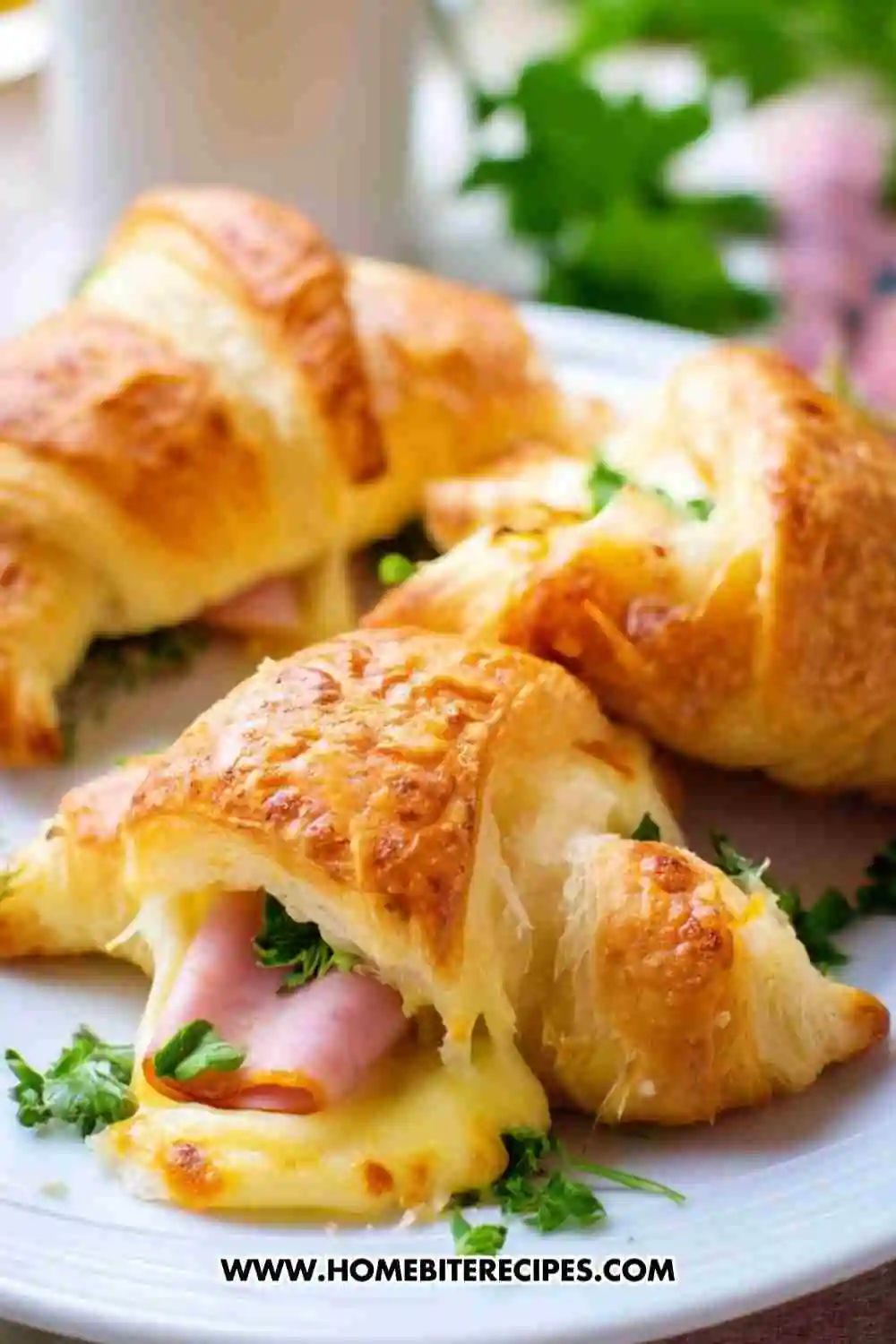 Golden, flaky croissant stuffed with warm melted cheese, ham, and fresh parsley.