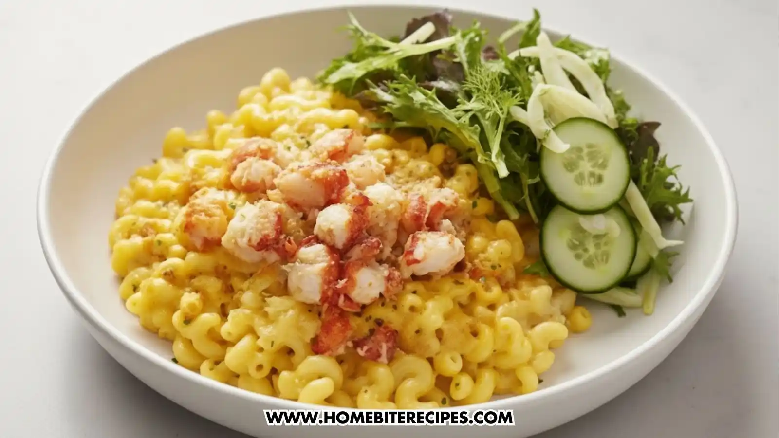 Close-up of Gourmet Mac and Cheese served with Fresh greens, sliced cucumbers, and thin-shaved fennel in a white plate.